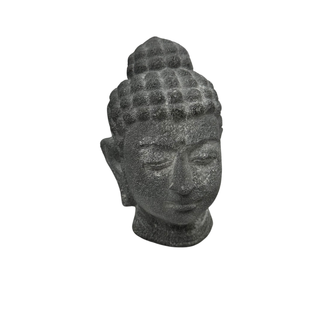 Buddha head display