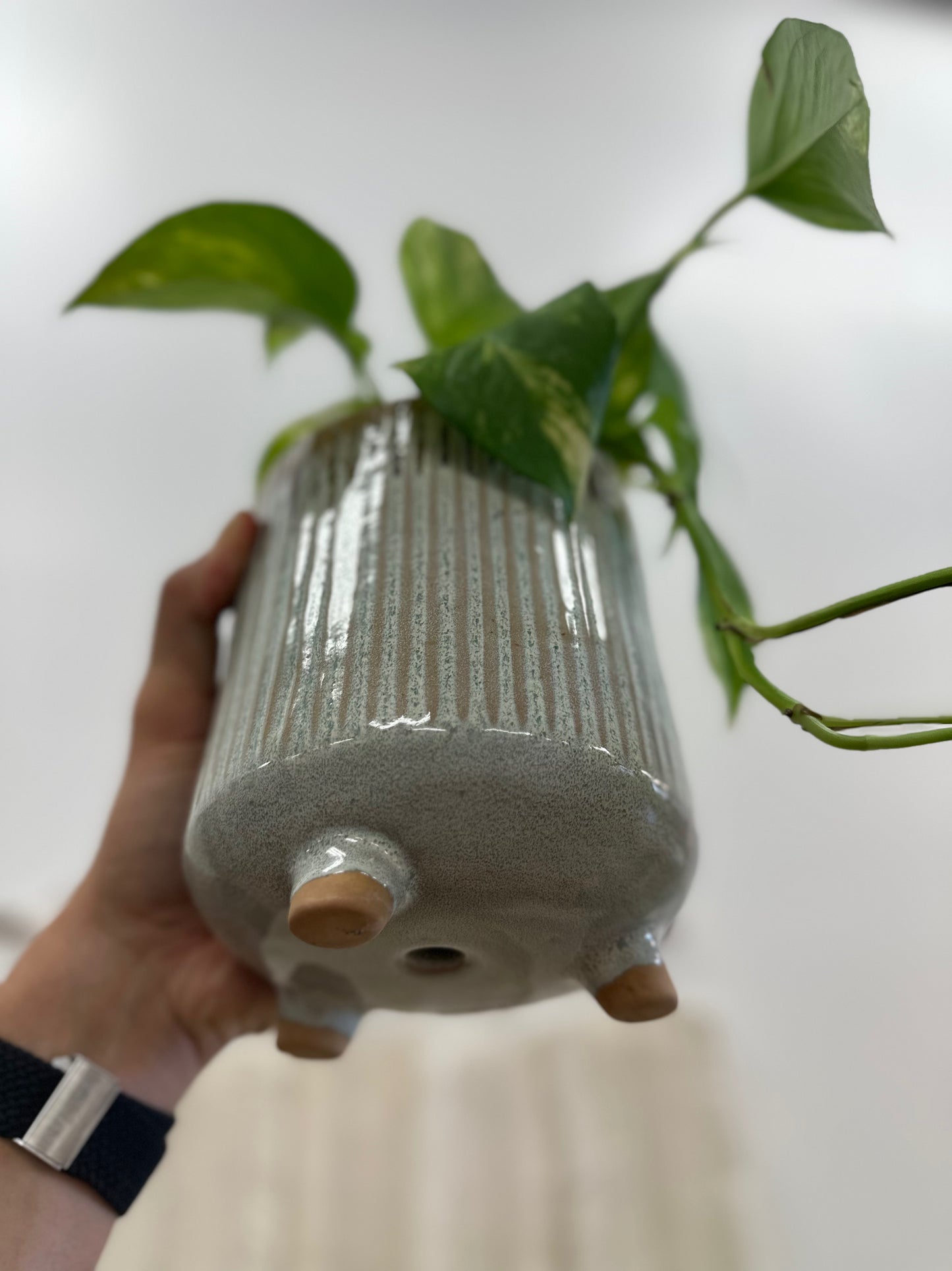 Banjar Hot Springs Vase