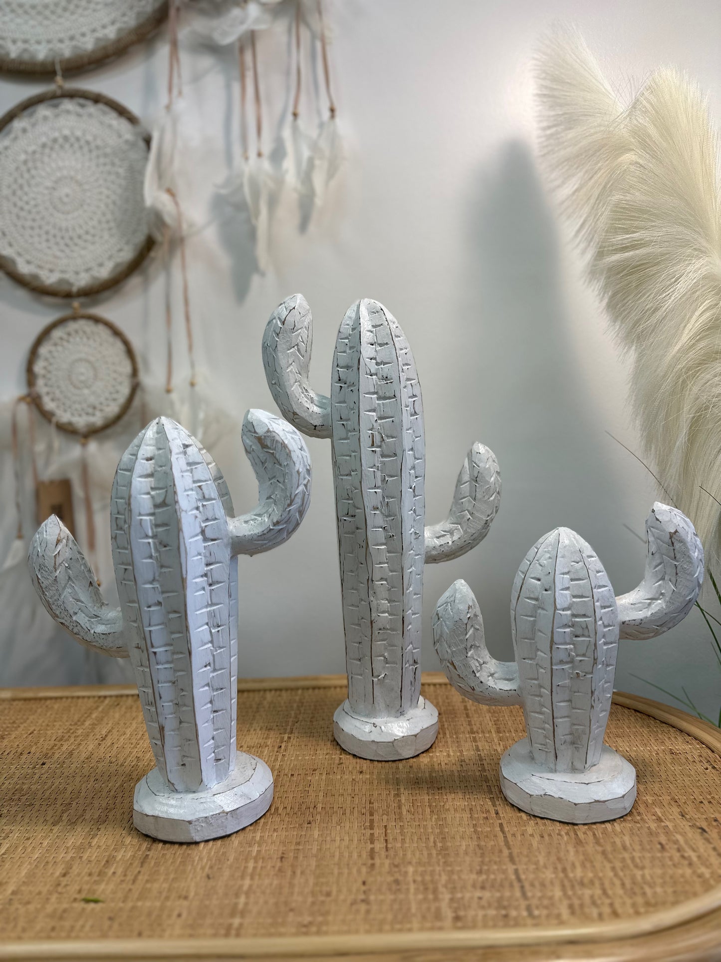 Albizia Wood Cactus model A