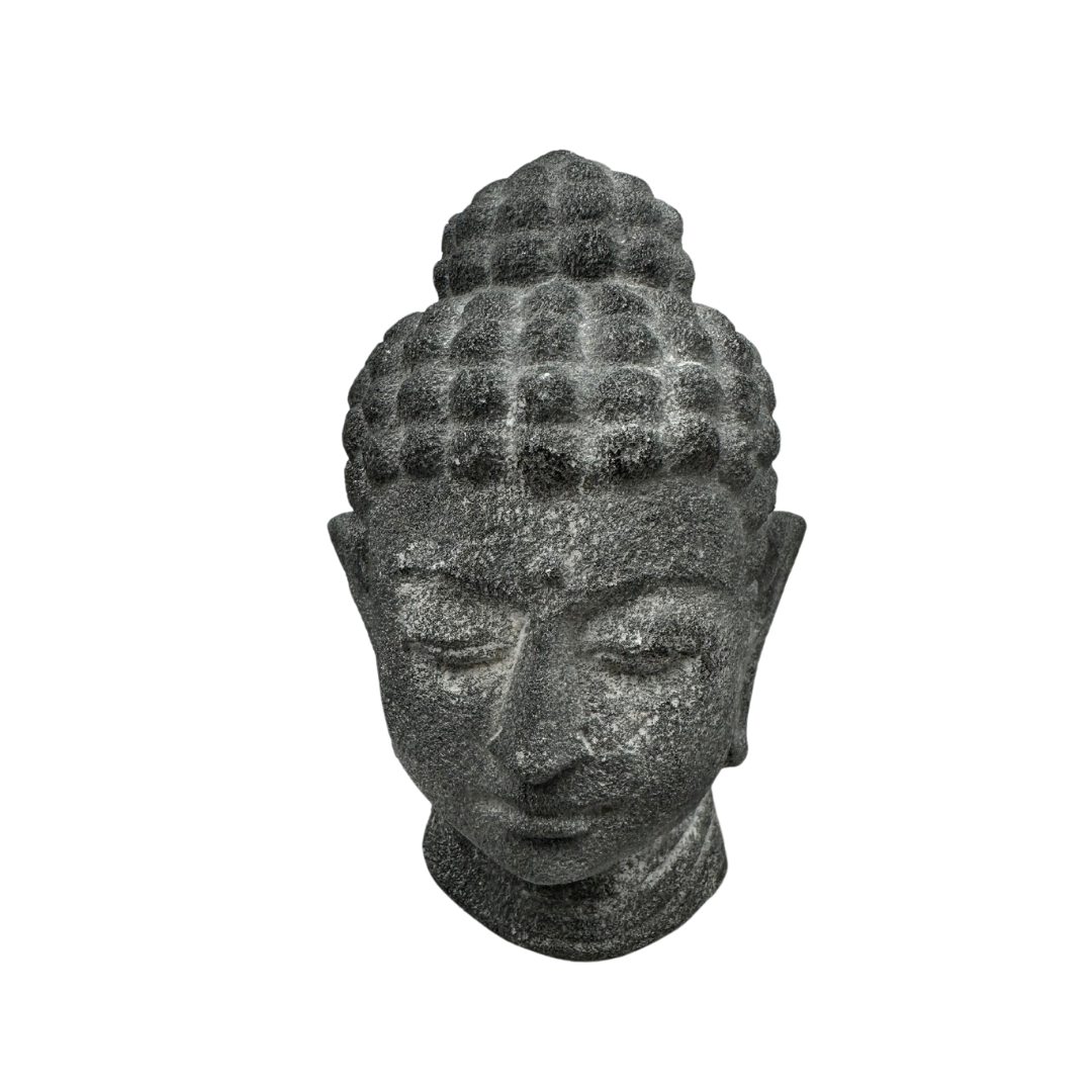 Buddha head display