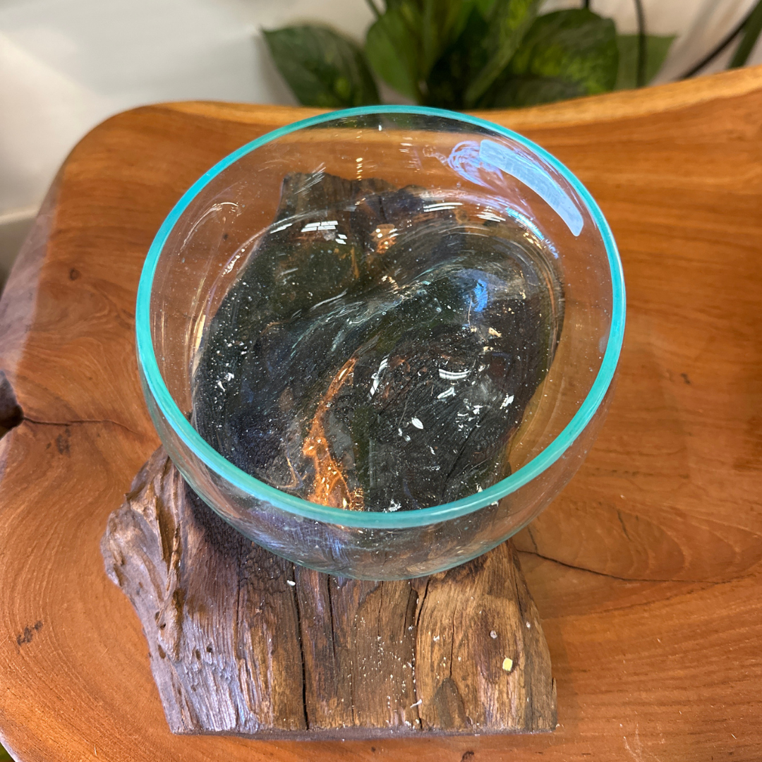 Wood&Glass Terrarium