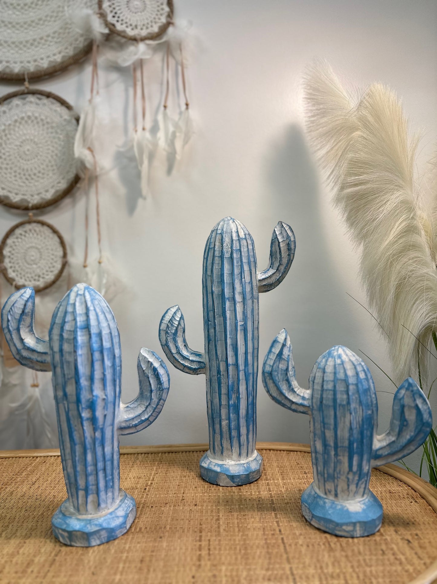 Albizia Wood Cactus model A