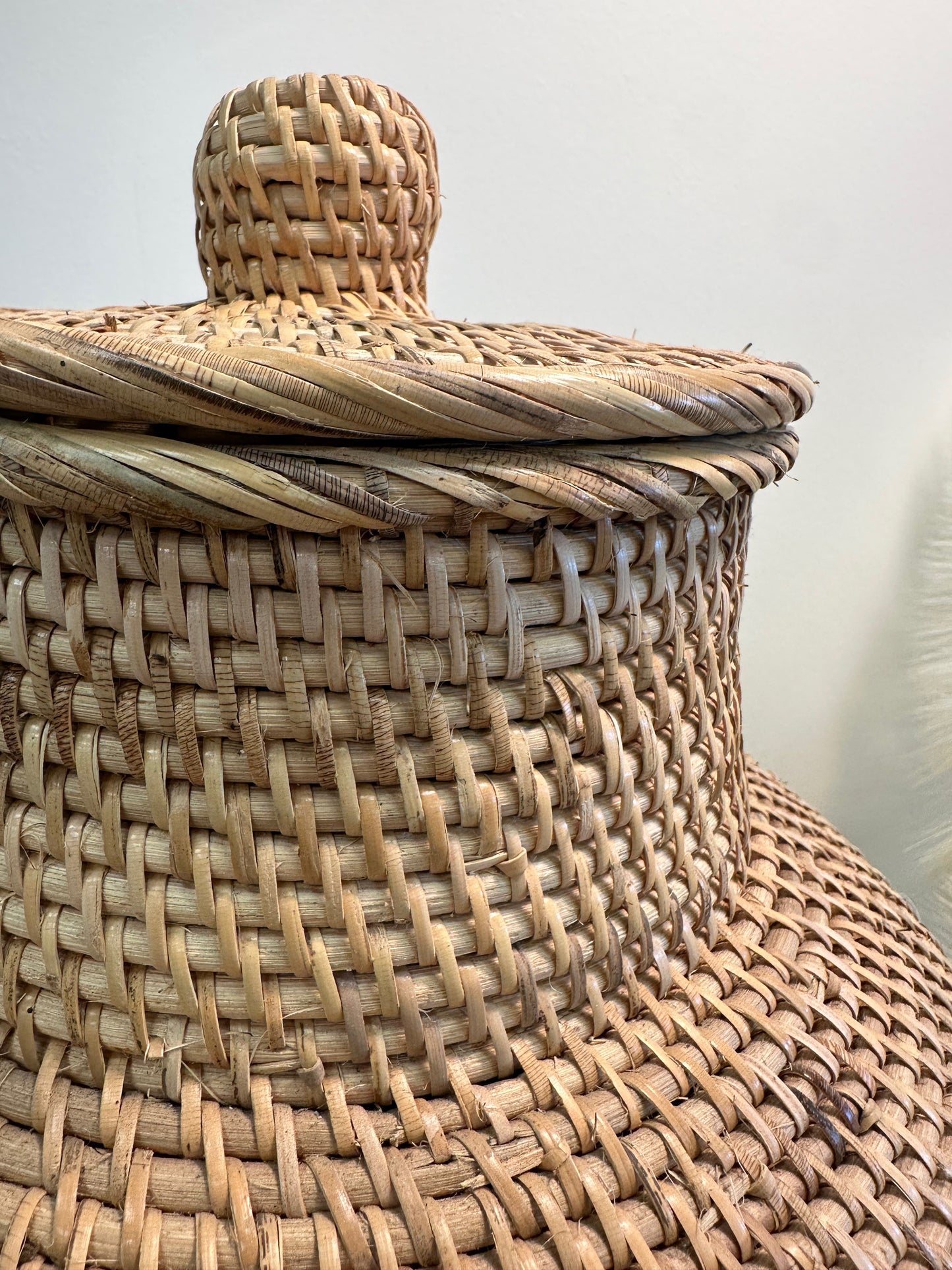 Red Finger Basket of Fern