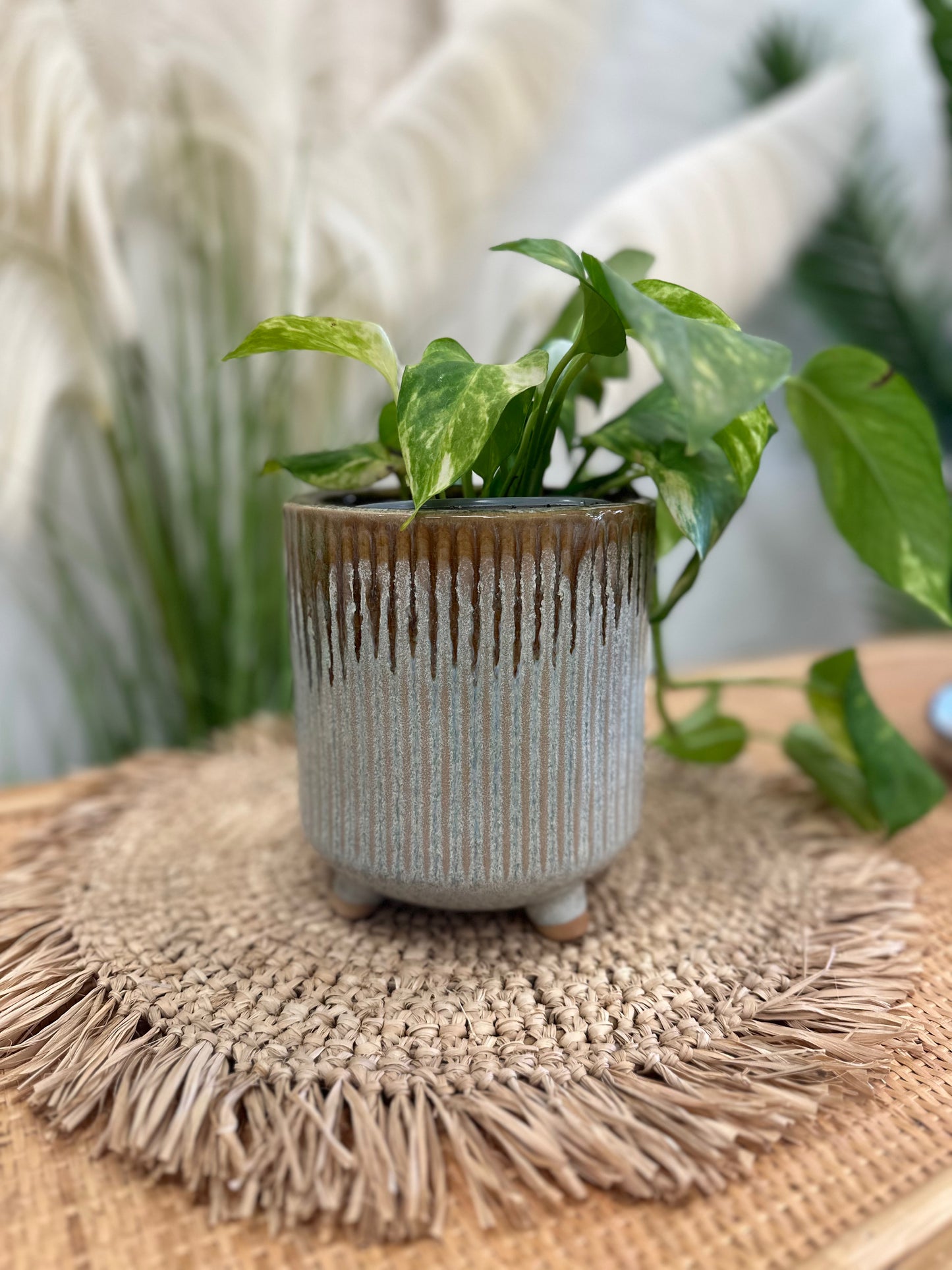 Banjar Hot Springs Vase