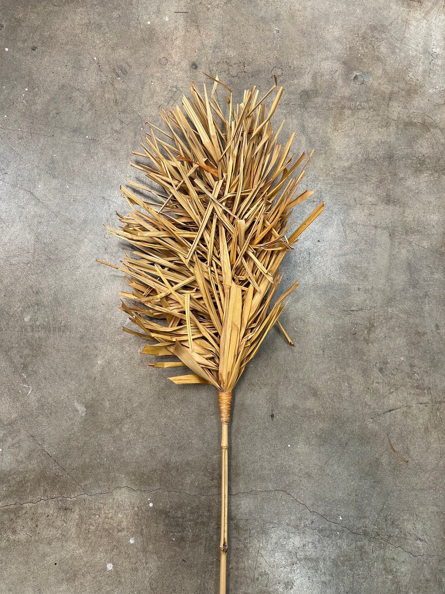 Home Decor Hand Fans