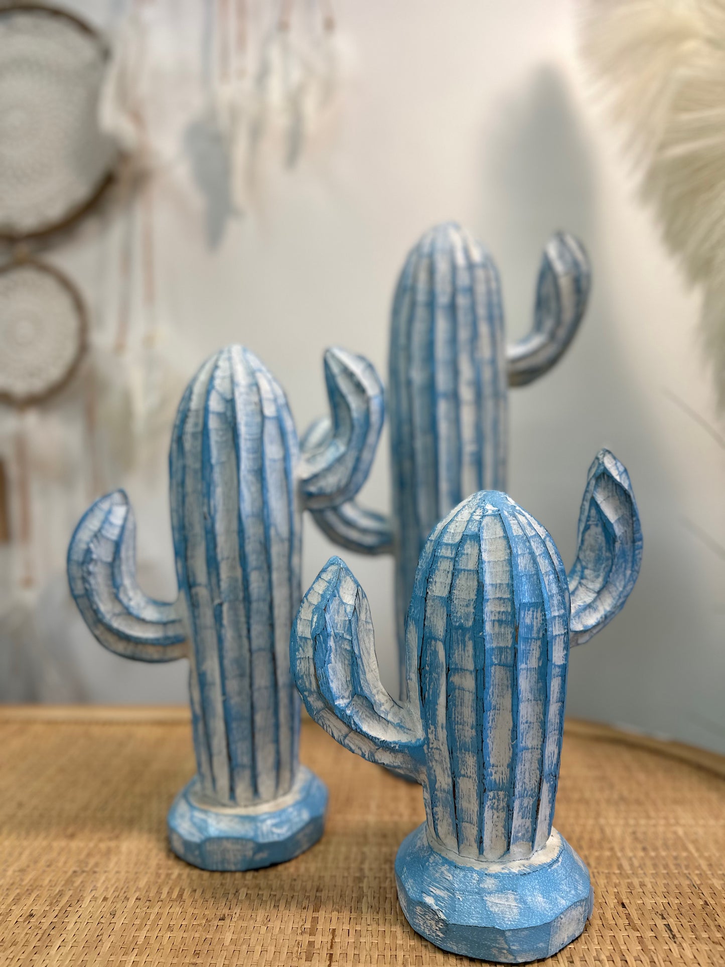 Albizia Wood Cactus model A