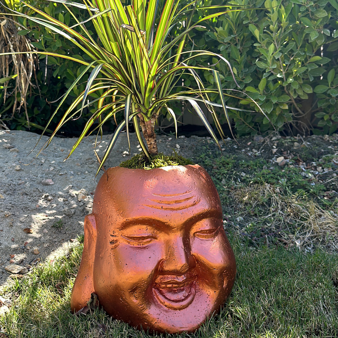 Smiley Buddha Head Planter in garden