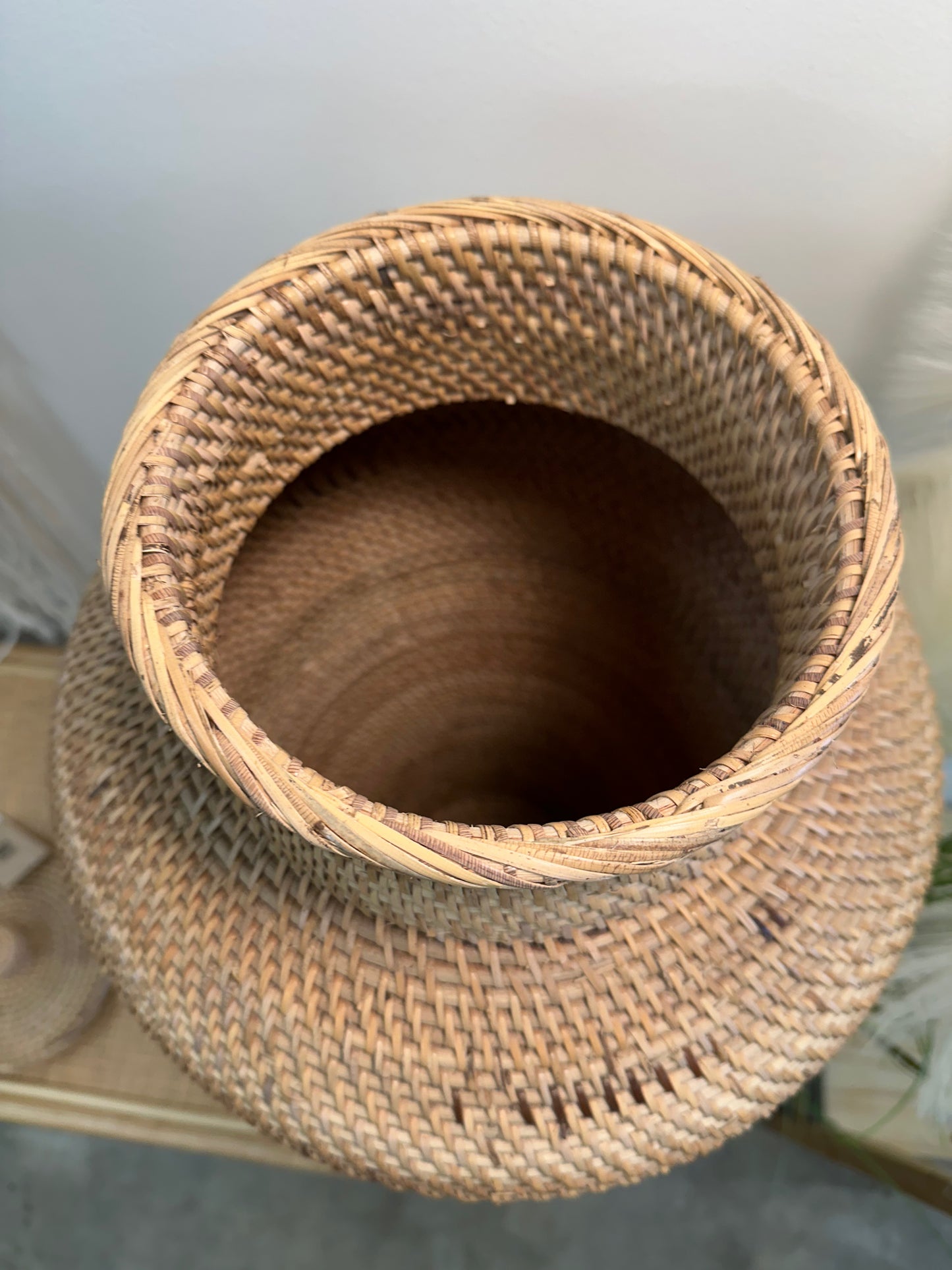 Red Finger Basket of Fern