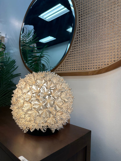 Shell Table Lamp