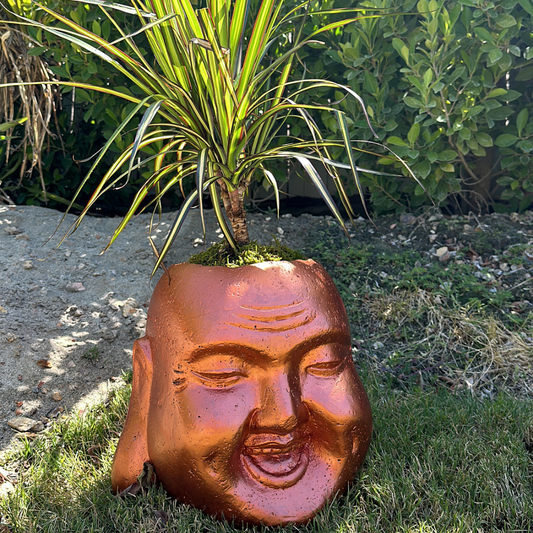 Smiley Buddha Head Planter in garden