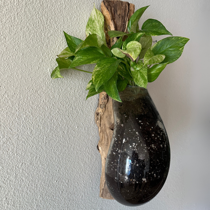 Wall Mount Terrarium Glass & Wood